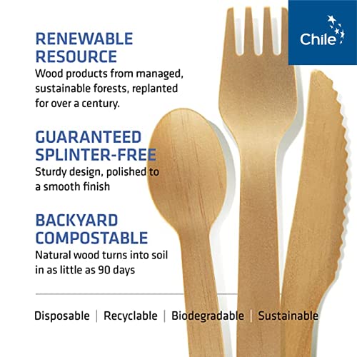 Cutlery Set 100 Spoons 6.5in Compostable Bamboo